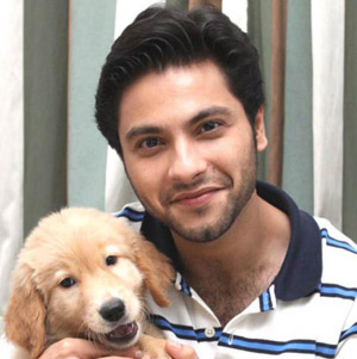 Every actor wants to be in Bollywood: Mishal Raheja